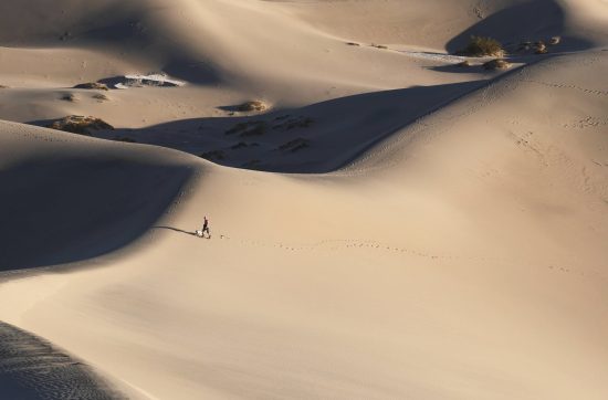 Discover Yourself: Values, Strengths, Vision, EQ, And More